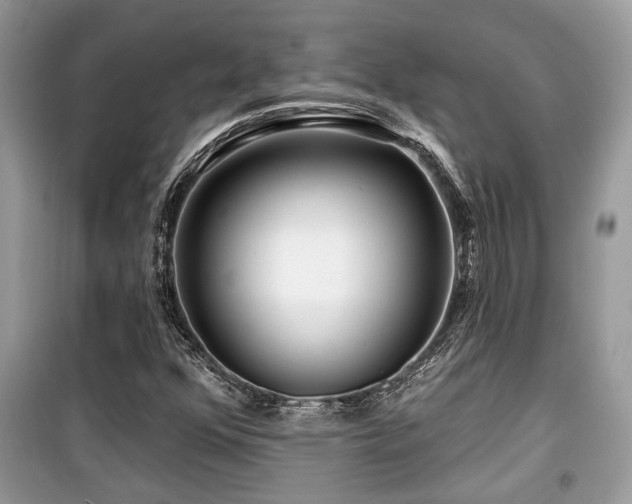 X0000099561352200805161442