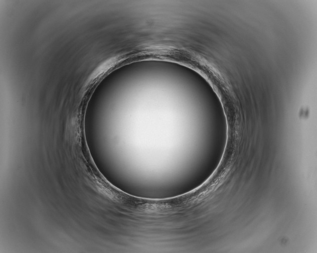 X0000099561354200805161442