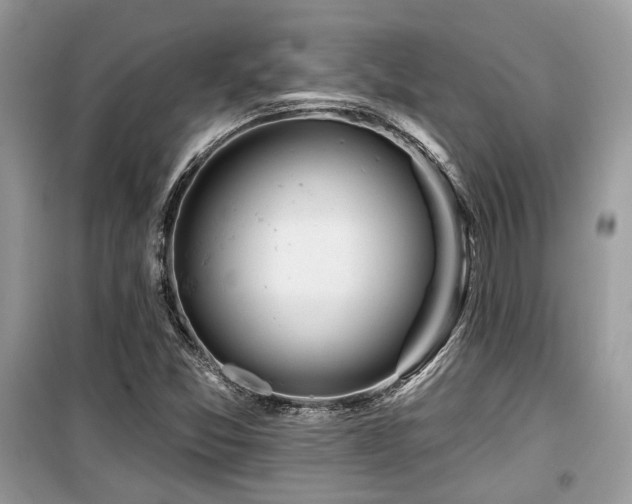 X0000099561357200805161442