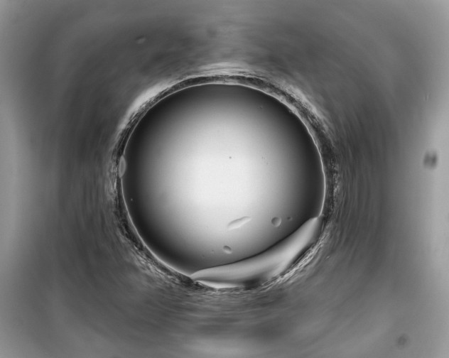 X0000099561358200805161442