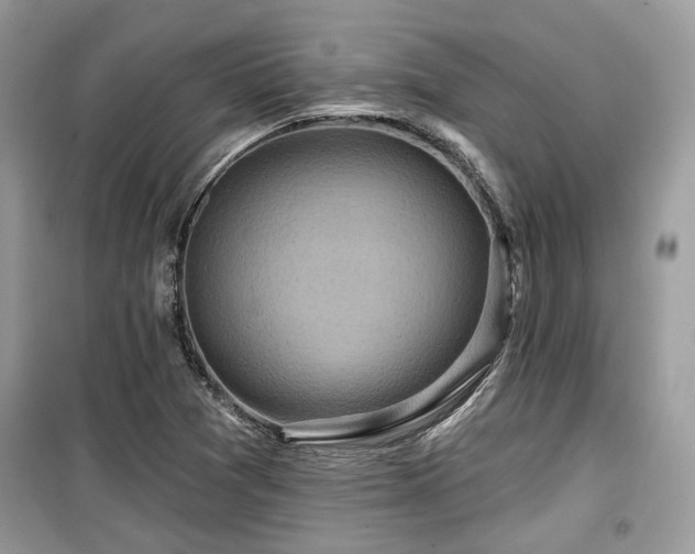 X0000099561361200805161442