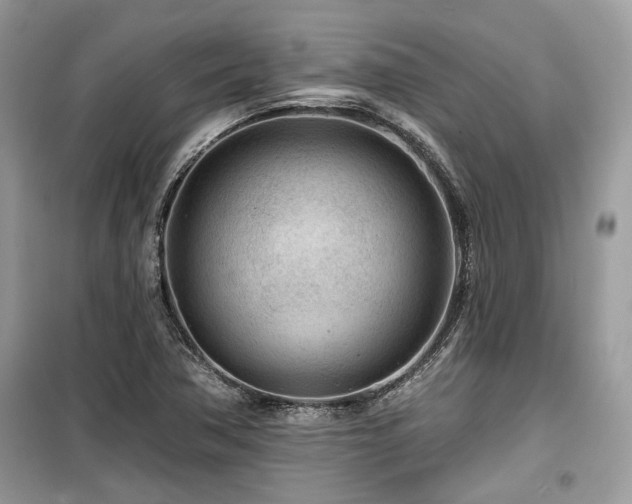 X0000099561362200805161442