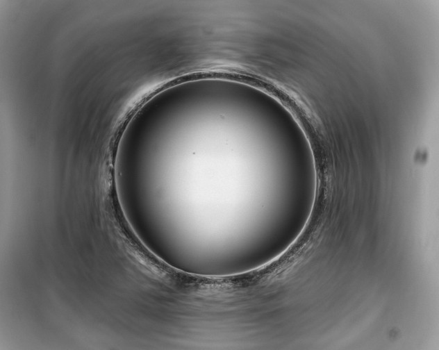 X0000099561363200805161442