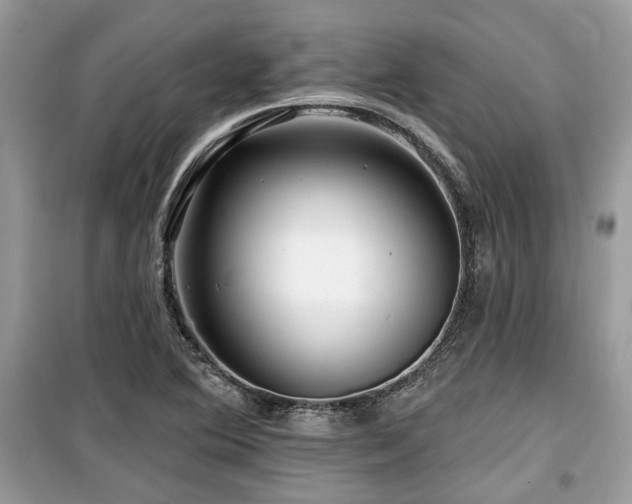 X0000099561364200805161442