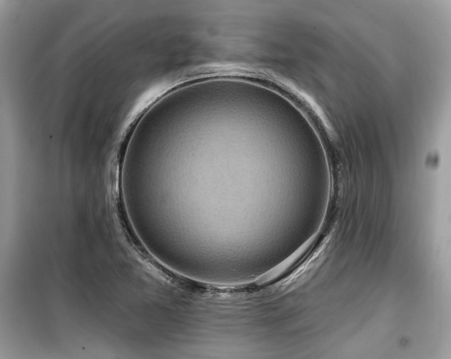 X0000099561365200805161442