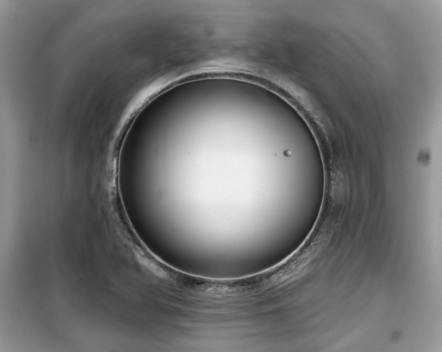 X0000099561366200805161442