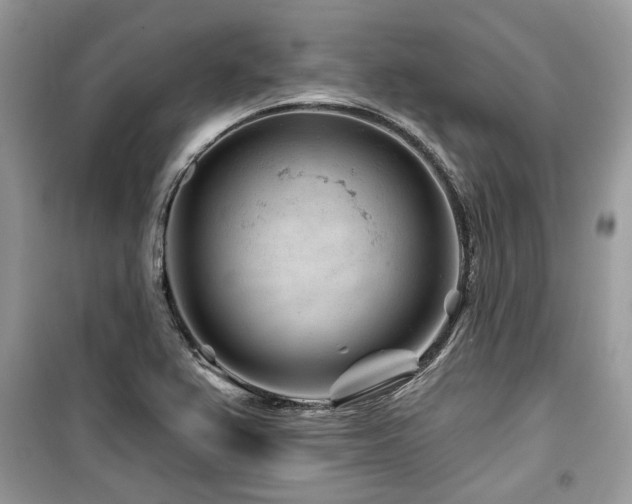 X0000099561367200805161442