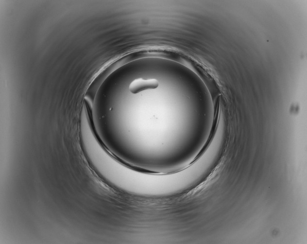 X0000099561369200805161441
