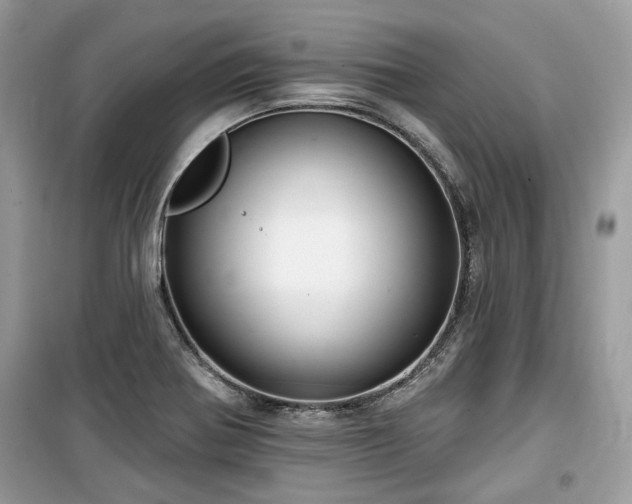 X0000099561370200805161441