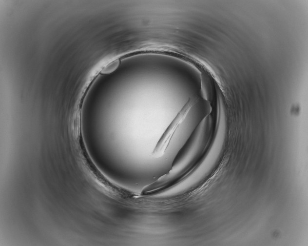 X0000099561371200805161441