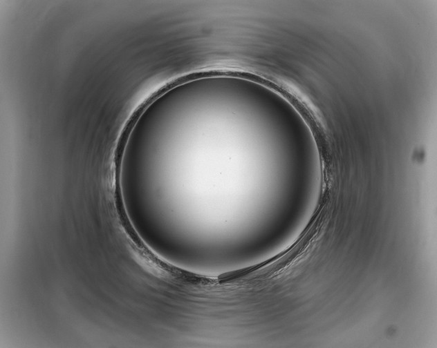 X0000099561372200805161441