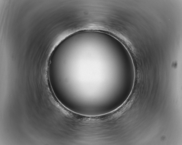 X0000099561374200805161441