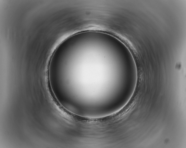 X0000099561375200805161441