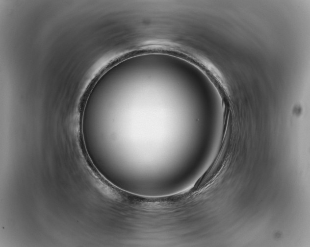 X0000099561376200805161441