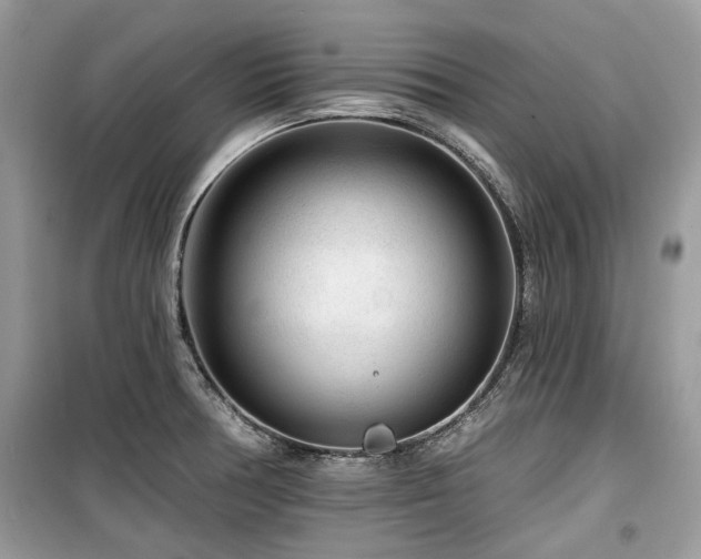 X0000099561378200805161441