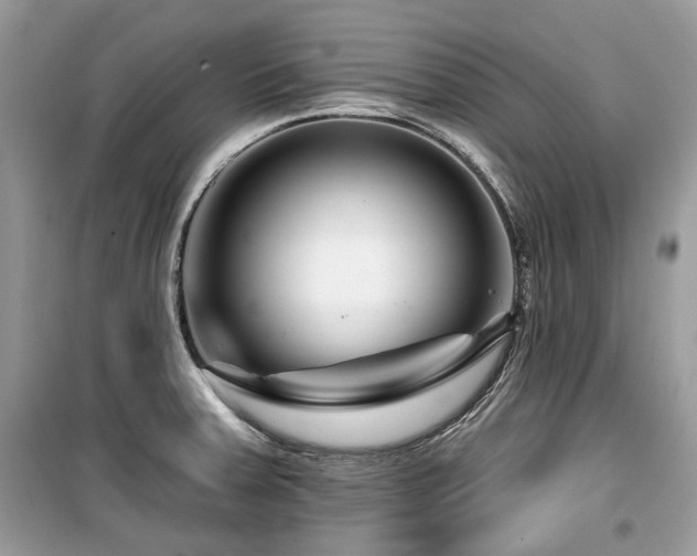 X0000099561379200805161441