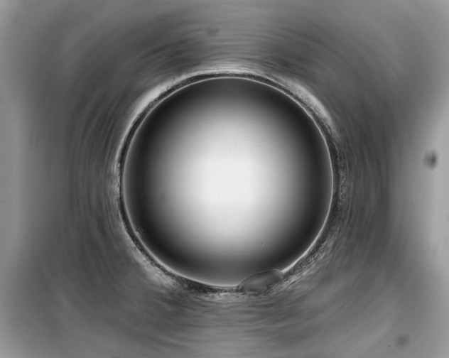 X0000099561380200805161441