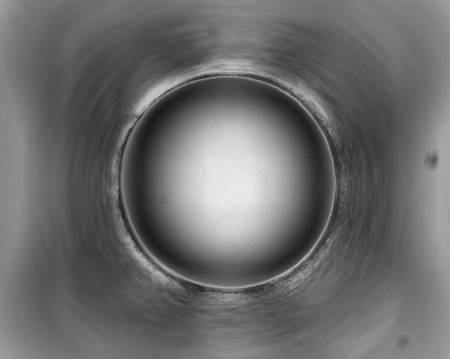 X0000099561382200805161441
