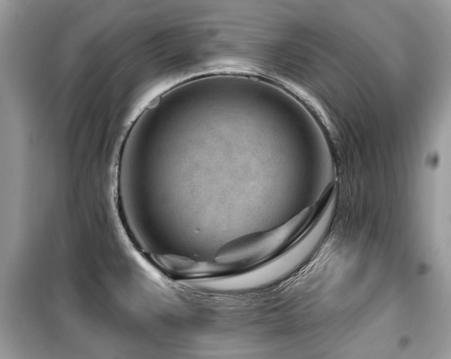 X0000099561383200805161441