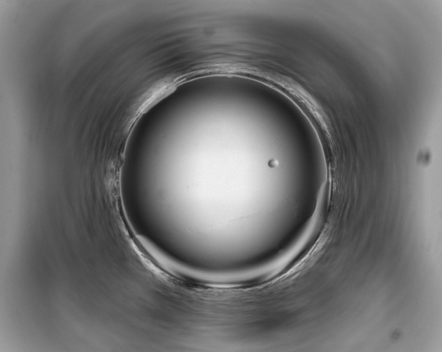 X0000099561385200805161441