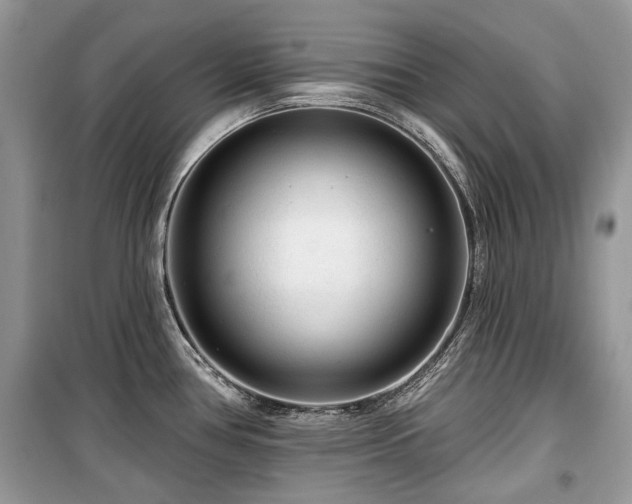 X0000099561386200805161441