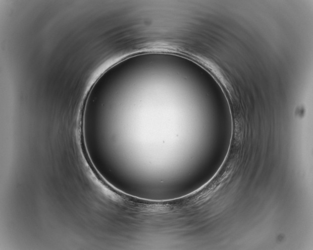 X0000099561387200805161441