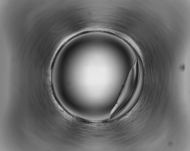 X0000099561388200805161441