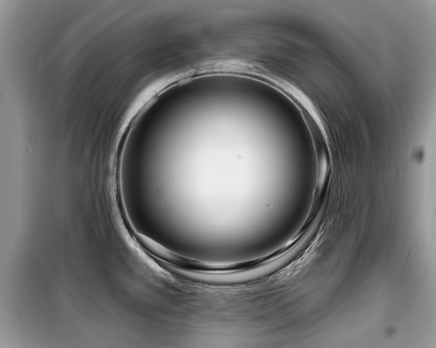 X0000099561389200805161441