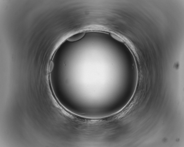X0000099561390200805161441