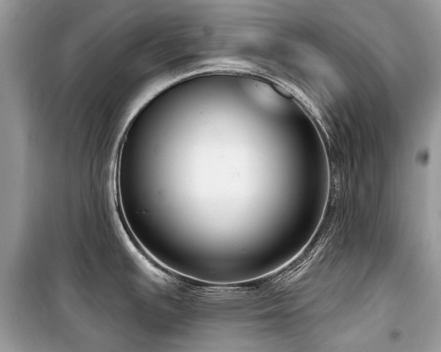 X0000099561391200805161441