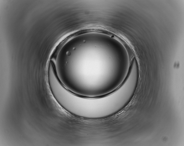 X0000099561392200805161441
