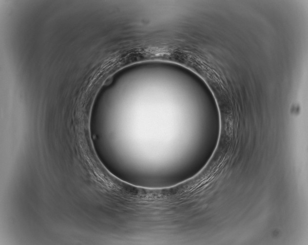 X0000099561393200805161440