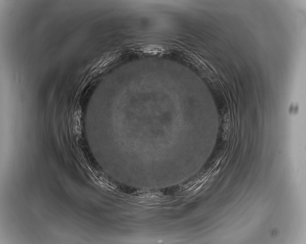 X0000099561394200805161440