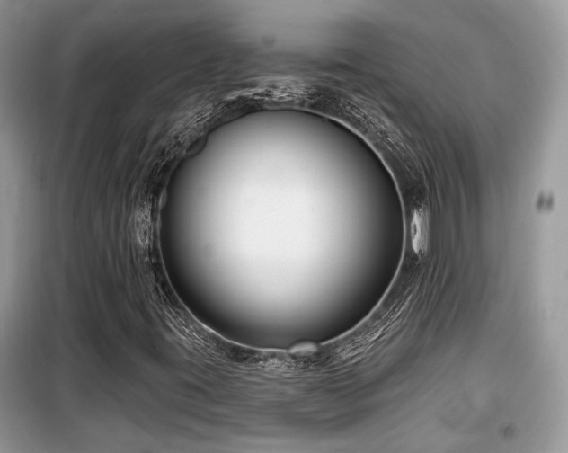 X0000099561395200805161440