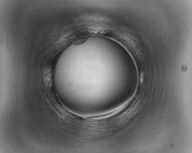 X0000099561396200805161440