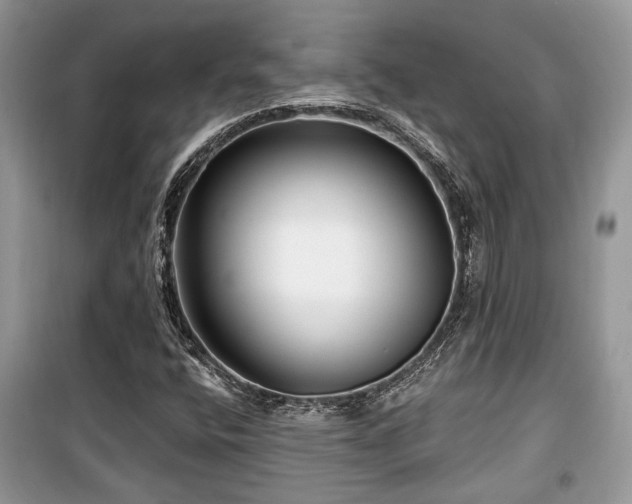 X0000099561400200805161440