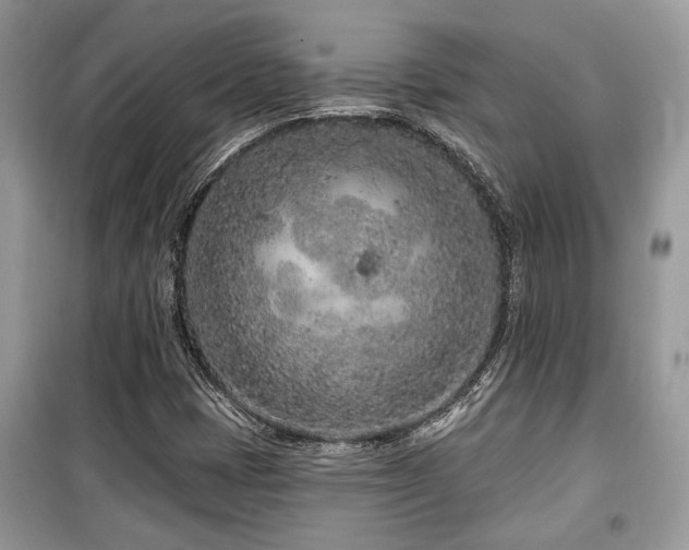 X0000099561401200805161440