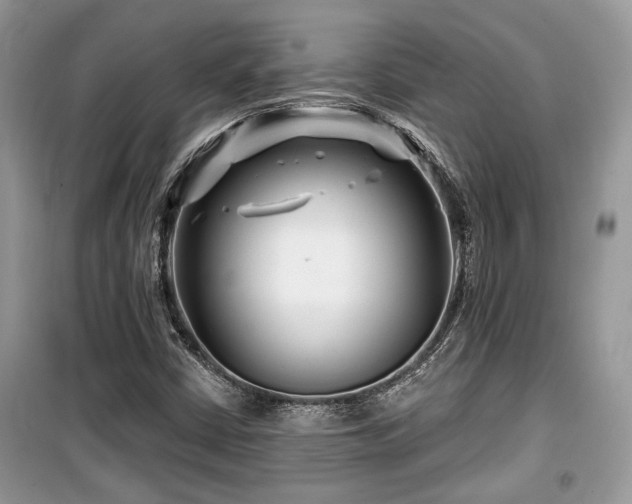 X0000099561402200805161440