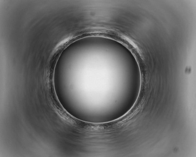 X0000099561403200805161440