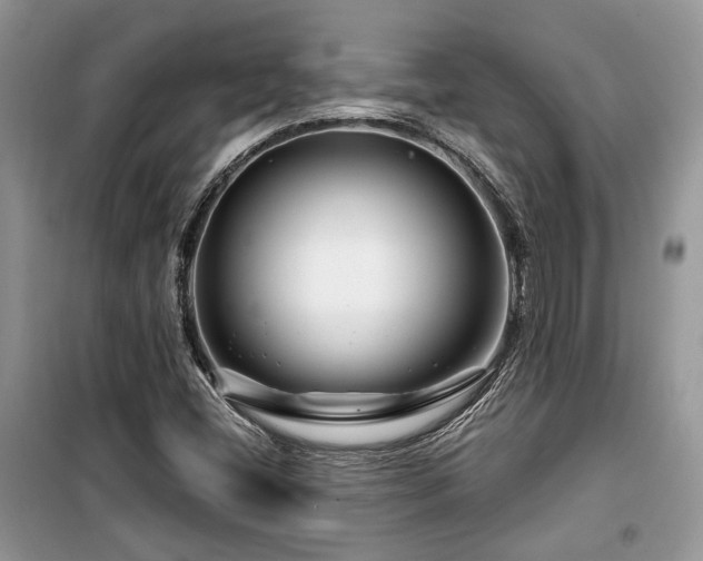 X0000099561404200805161440