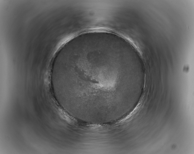X0000099561405200805161440
