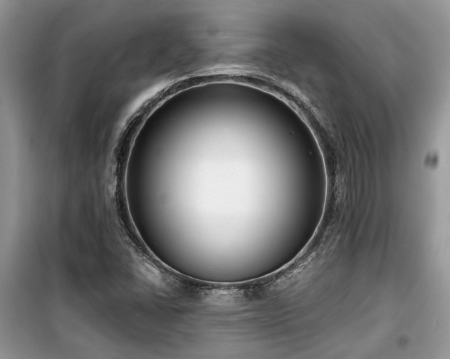 X0000099561406200805161440