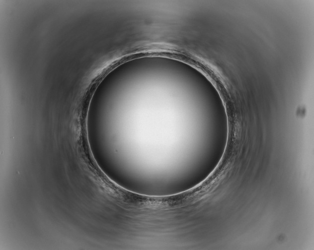 X0000099561407200805161440