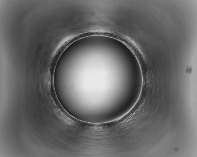 X0000099561408200805161440