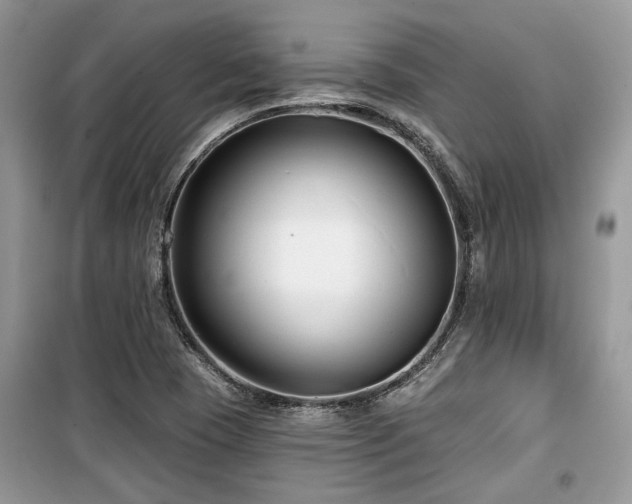 X0000099561409200805161441