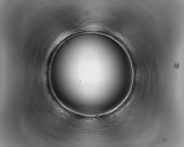 X0000099561410200805161441