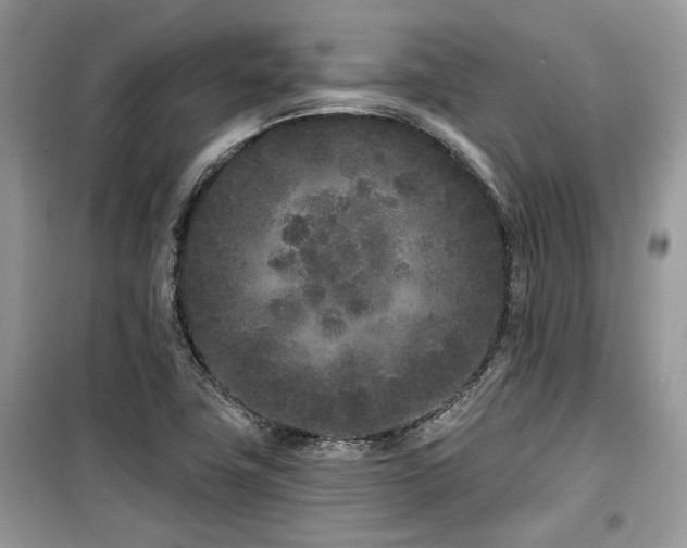 X0000099561411200805161441