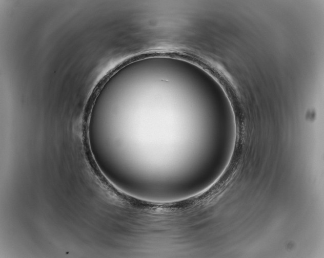 X0000099561412200805161441