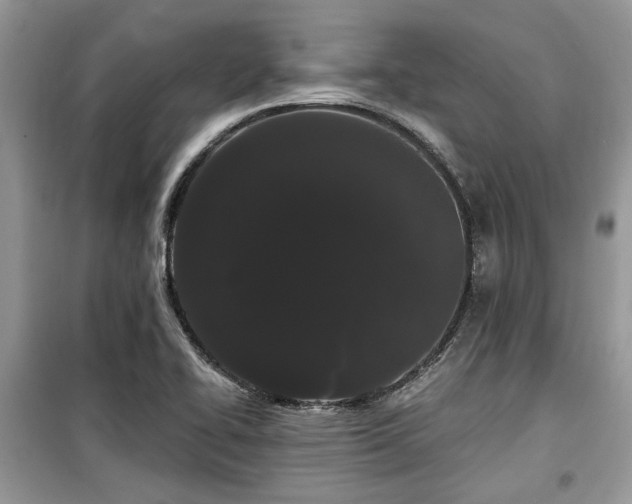 X0000099561414200805161441