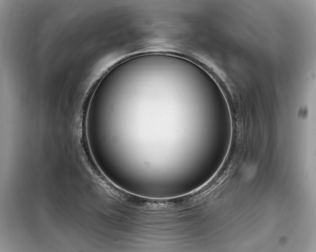 X0000099561415200805161441